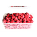 IQF Freezing Organic Raspberry Hr-16090902